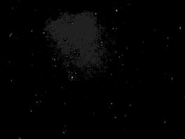 The stars