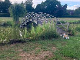 Bridge between fishing lakes