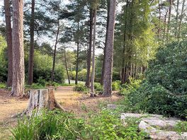 Walking path