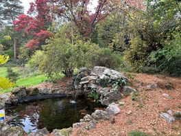 Japanese gardens