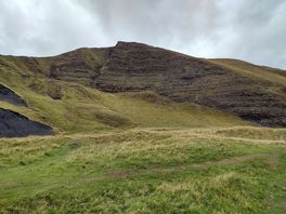Newfold
