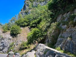 Cheddar gorge