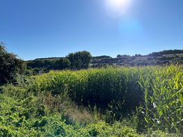Scenery