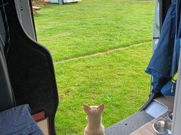 View from the van