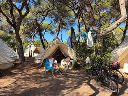 Bell tent