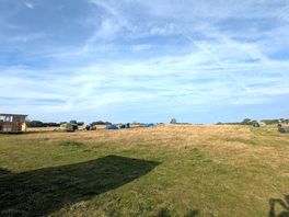 Its a field