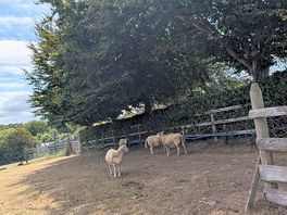 The perfect neighbours!