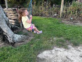 Fun on the tree swing