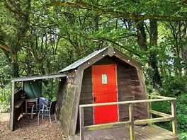 The red pod