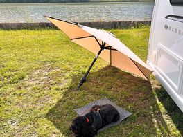 Dog friendly