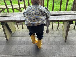 Watching the view