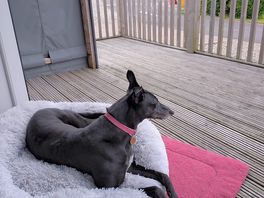 Relaxing on pod terrace