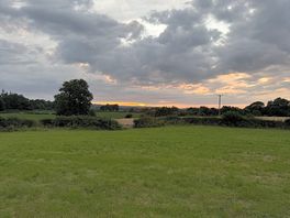Lush sunset