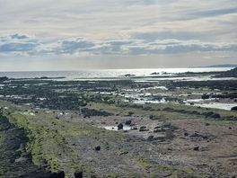 Walk along the beach