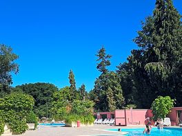 Sunny pool