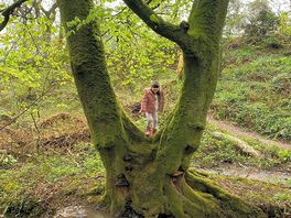 Exploring the woodland walk