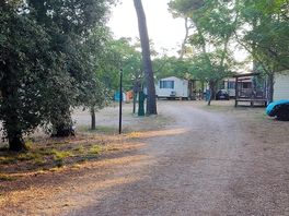 Camp mia