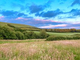 Purbeck Hills view from the main field