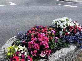 Flower bed