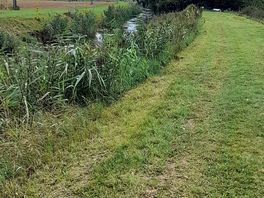 Riveside short walk