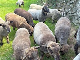 Friendly neighbours