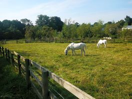 The farm