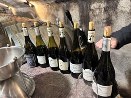 Vineyard visit and tasting