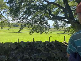Beautiful walks