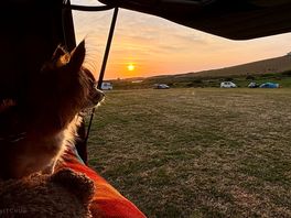 View from the campervan