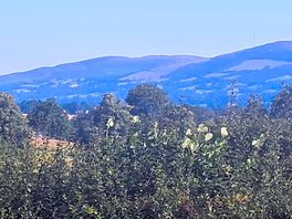 Bueatiful views