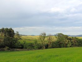 View from my pitch