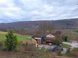 The view
