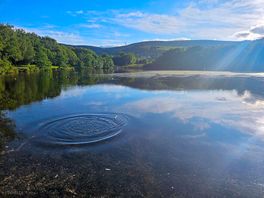 The lake