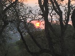...und man sieht den sonnenaufgang vom zelt aus...