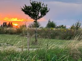 Sunset.