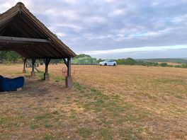 Wedding field