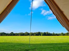 Spacious quiet field