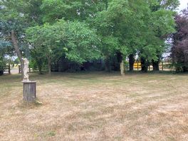 Garden area