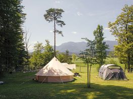 Part of our meadow with mountain view