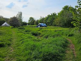 Our pitch