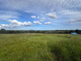 Large spaced out pitches