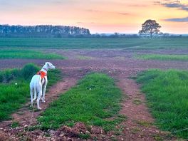Loved the walks