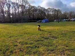 Campsite