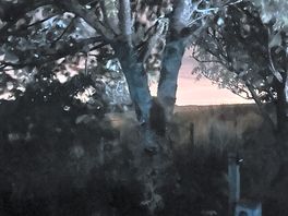 Night shot