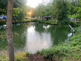 View of the pond