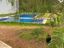Jolie piscine, bien entretenue