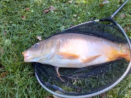 On fish caught
