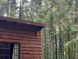 Cabin