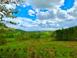 View from my campervan