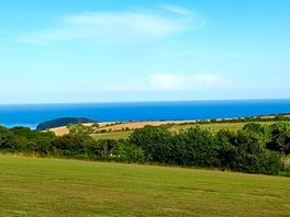 View from the site